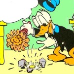 Donalds firkantegg